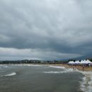 바람향기 이미지