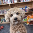 만물농약사 이미지