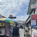 혜영이네 | 속초여행🩵 신다신, 혜영이네 누룽지오징어순대, 낙산사, 흰다정, 소노델피노, 어장물회