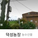 최석구농장 이미지