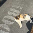 하성축산 이미지