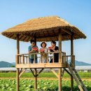 원두막(園頭幕)의 변신 이미지