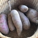 금구푸드 이미지