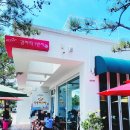 감자적1번지 | 강릉 감자적1번지 후기 - 감자옹심이와 도토리들깨수제비 맛집