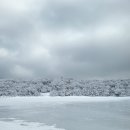 신영로 | 운동| 한라산 등산 - 겨울 사라오름, 산정호수, 사라오름 전망대, 카페 육칠월, 제주만주
