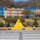 옐로카펫 이미지