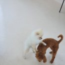 완도유치원 이미지