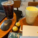 현대1,2차아파트 | 4월 일상 (신혼부부 산전검사, 건강검진, 공주 부여 여행, 야구 직관, 임장)