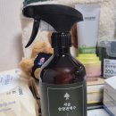 솔향집 | 새숲라이프 새숲솔향편백수로 집 냄새 잡아본 후기, 은근히 자주 쓰게 돼요