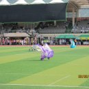 단양공설운동장 이미지