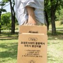 일화 이미지