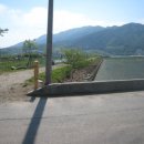 소나무쉼터 민박 이미지