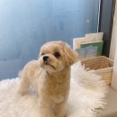 나리울동물병원 이미지
