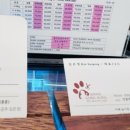 애견카페 제니콩콩 이미지