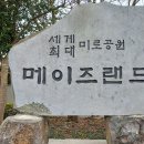 돗오름 주차장 | [제주 미로공원] 아이와 가볼만한 곳, 메이즈랜드