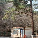 CU 동해무릉숲점 | 무릉계곡힐링캠핑장 제1캠프장 후기 (특10번, 특28번 사이트 이용)