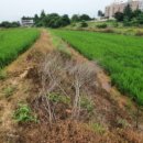 평택목장 이미지