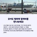 바다면발 이미지