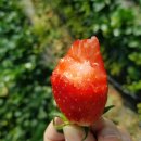 동오농장 이미지