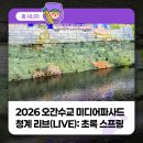 서울 전시 2026 오간수교 미디어파사드 청계 리브(LIVE): 초록 스프링