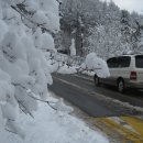 광릉수목원로 이미지