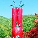 송죽 - 밀양시 | 송죽