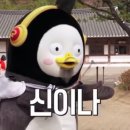 현대컨테이너 이미지