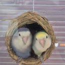 모란탑공인중개사사무소 이미지