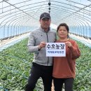 수호 농장 이미지