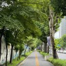 충무로(남산볼링) | 한 여름밤의 꿈