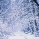 오픈콜라 이미지