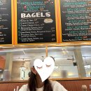 [샌프란시스코] 샌프란시스코 브런치 카페 추천 _ 허니허니 카페(Honey Honey Cafe &amp; Crepery)