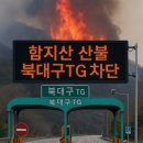 북대구 이미지