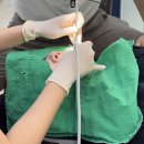 이바른치과기공소 이미지