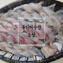 유디티수산 이미지