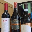 2020-주128 이미지