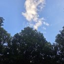 그린웨이 이미지