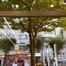 연희위드팜약국 이미지