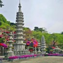 금강사 - 서구 북항로245번길 13-27 | 금강사