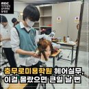 미용(헤어)실무 네이버블로그