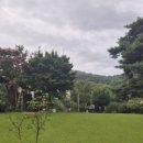 작은마을, 작은숲 이미지