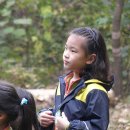 숲속유치원 - 양산시 | 숲속유치원