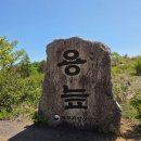 식물생태숲 영상체험관 화장실 | (인제여행) 국내유일 고산습지, 국내최초 람사르습지: 대왕산 용늪 5월 탐방 리얼후기