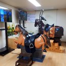 대덕승마장 이미지