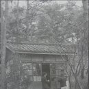 산장의 여인 이미지