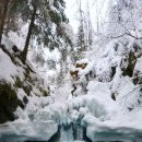 배비뇨기과의원 | 요로결석 쇄석술 후 통증 및 후기 - 다신 보지 말자