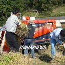 옴천면사무소 이미지