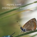 화목사 네이버블로그