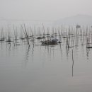 착한어부네 이미지