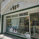 멍발소 | 포항 강아지 미용 &#34;수멍발소&#34; 방문 후기